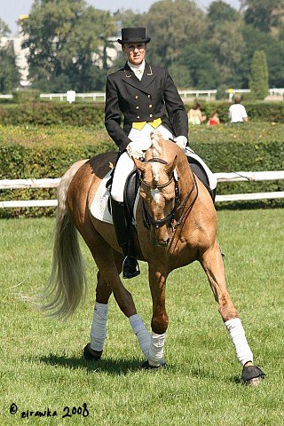 © Saratoga Stud