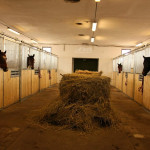 © Spendla Photography