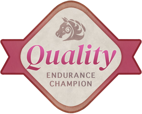 Quality Endurance Champion